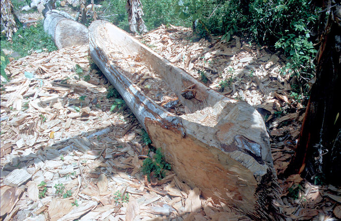 Sudafrika bis Tansania 1995-03-094.jpg